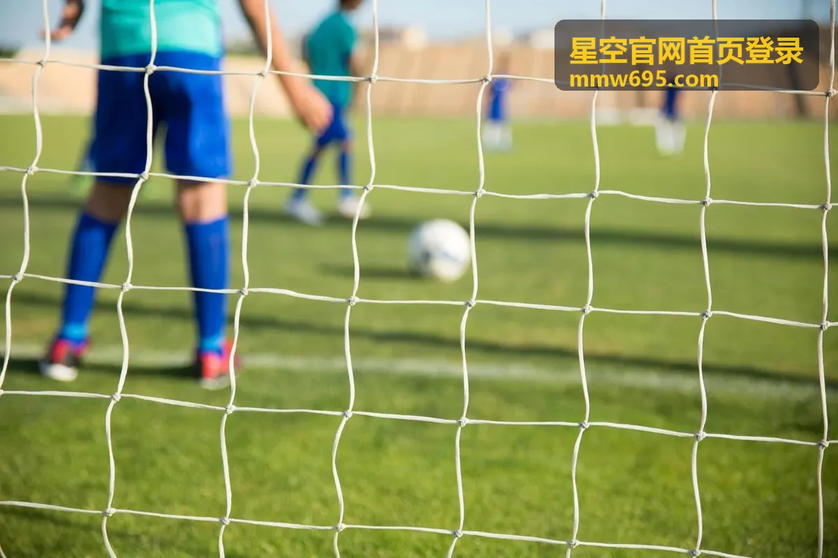 观星活动与预约入口信息