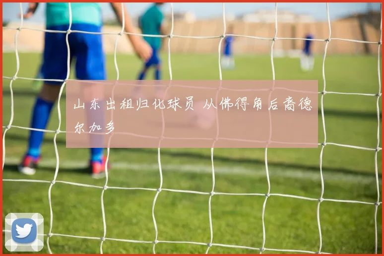 山东出租归化球员 从佛得角后裔德尔加多