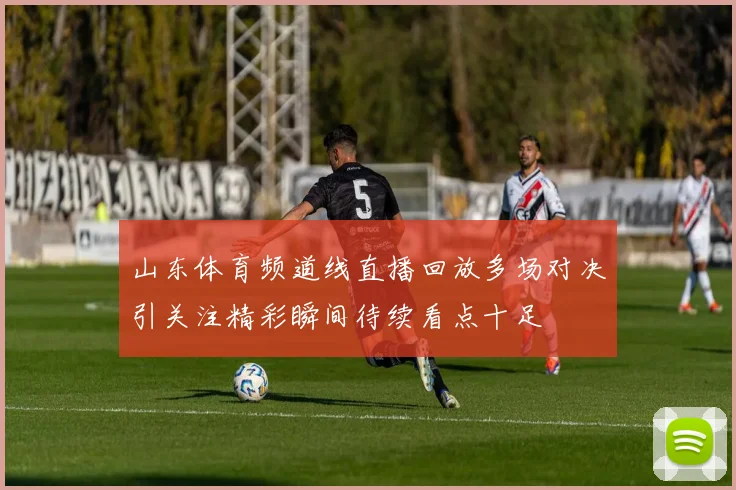 山东体育频道线直播回放多场对决引关注精彩瞬间待续看点十足