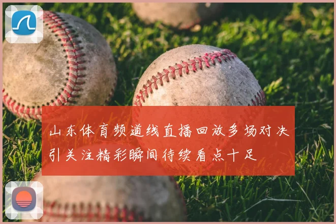 山东体育频道线直播回放多场对决引关注精彩瞬间待续看点十足