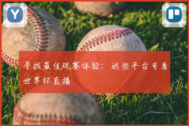 寻找最佳观赛体验:这些平台可看世界杯直播