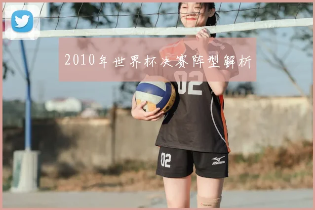 2010年世界杯决赛阵型解析