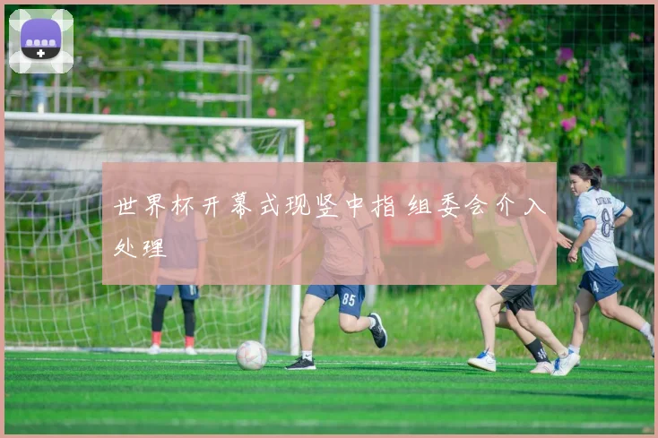 世界杯开幕式现竖中指 组委会介入处理