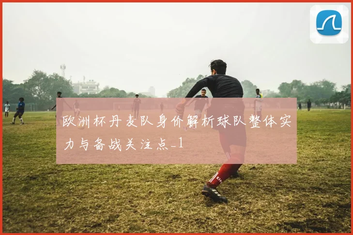 欧洲杯丹麦队身价解析球队整体实力与备战关注点_1
